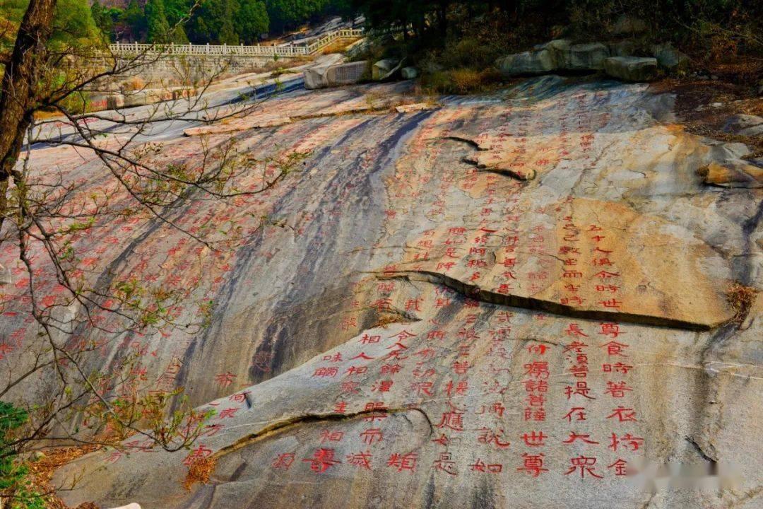 腌蒜怎样变绿-知识星球平台